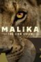 Malika the Lion Queen (2021)